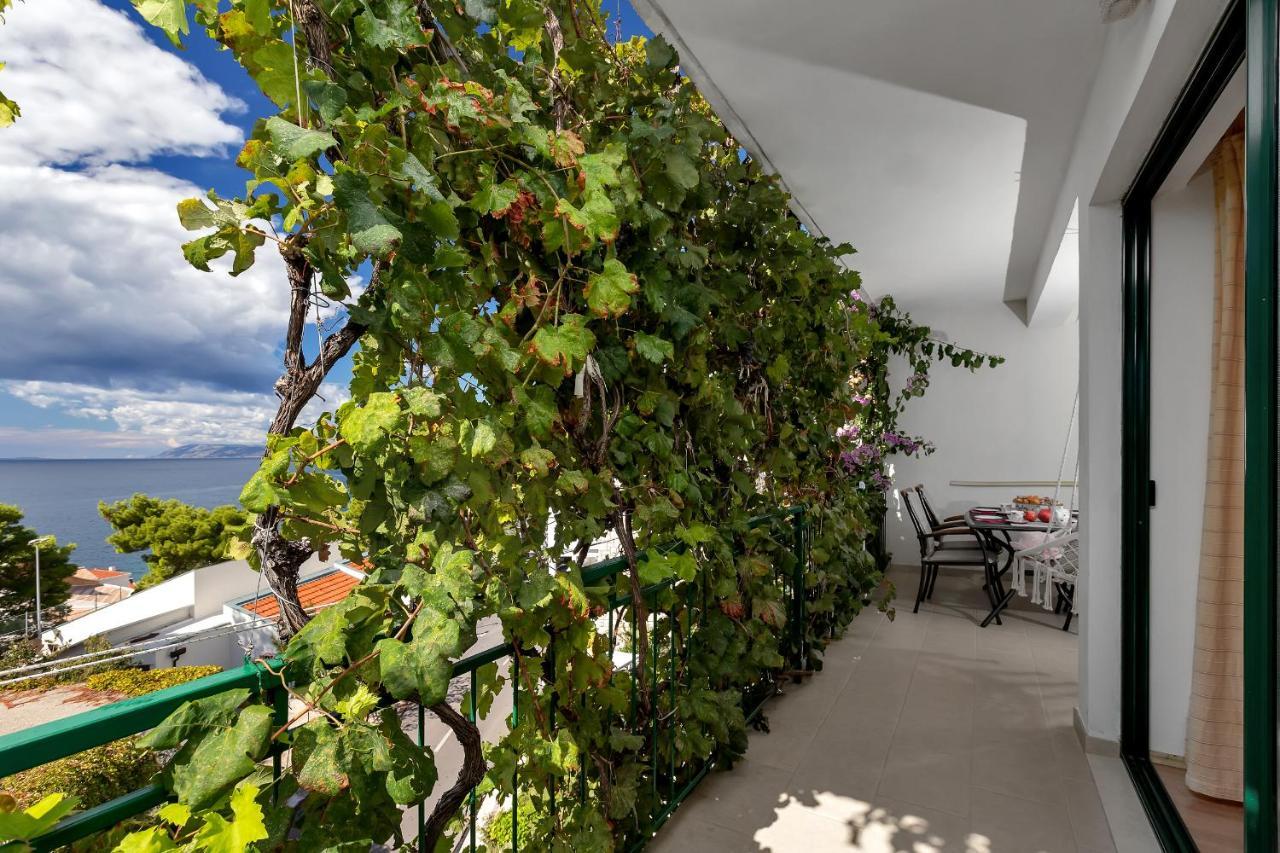 Apartmani Antonela Drasnice Esterno foto
